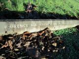 image of grave number 369212